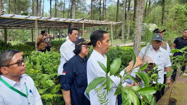 Presiden Joko Widodo atau Jokowi menanam pohon di Gunung Merapi.