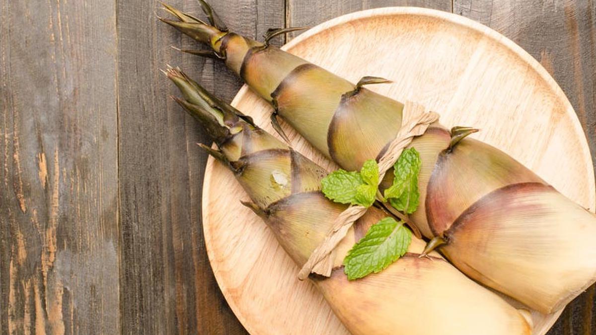 Cara Merebus Rebung Agar Tidak Pahit, Cuma Butuh Garam