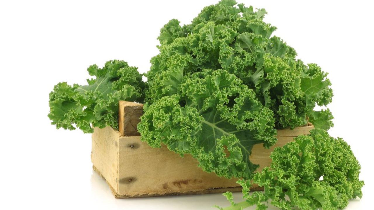 <b>6. Kale</b>