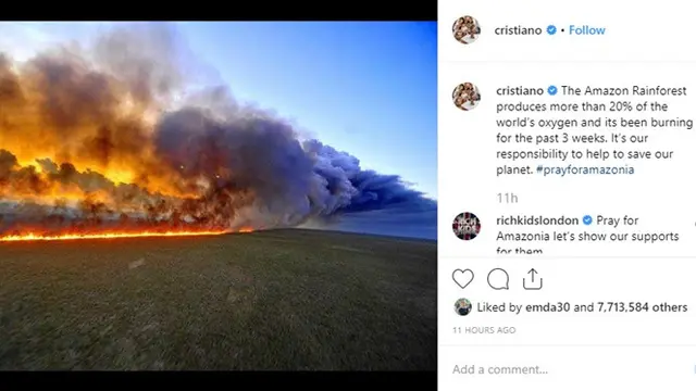 6 Fakta Kebakaran Hutan Amazon yang Mengerikan, Terparah dalam Sejarah