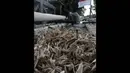 Seorang pekerja tampak sedang menyelesaikan pembuatan pohon pinang di kawasan Manggarai, Jakarta, Kamis (7/8/14). (Liputan6.com/Johan Tallo)
