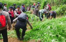 Menguak Sosok Edi, Otak di Balik Ladang Ganja di Taman Nasional Bromo Tengger Semeru