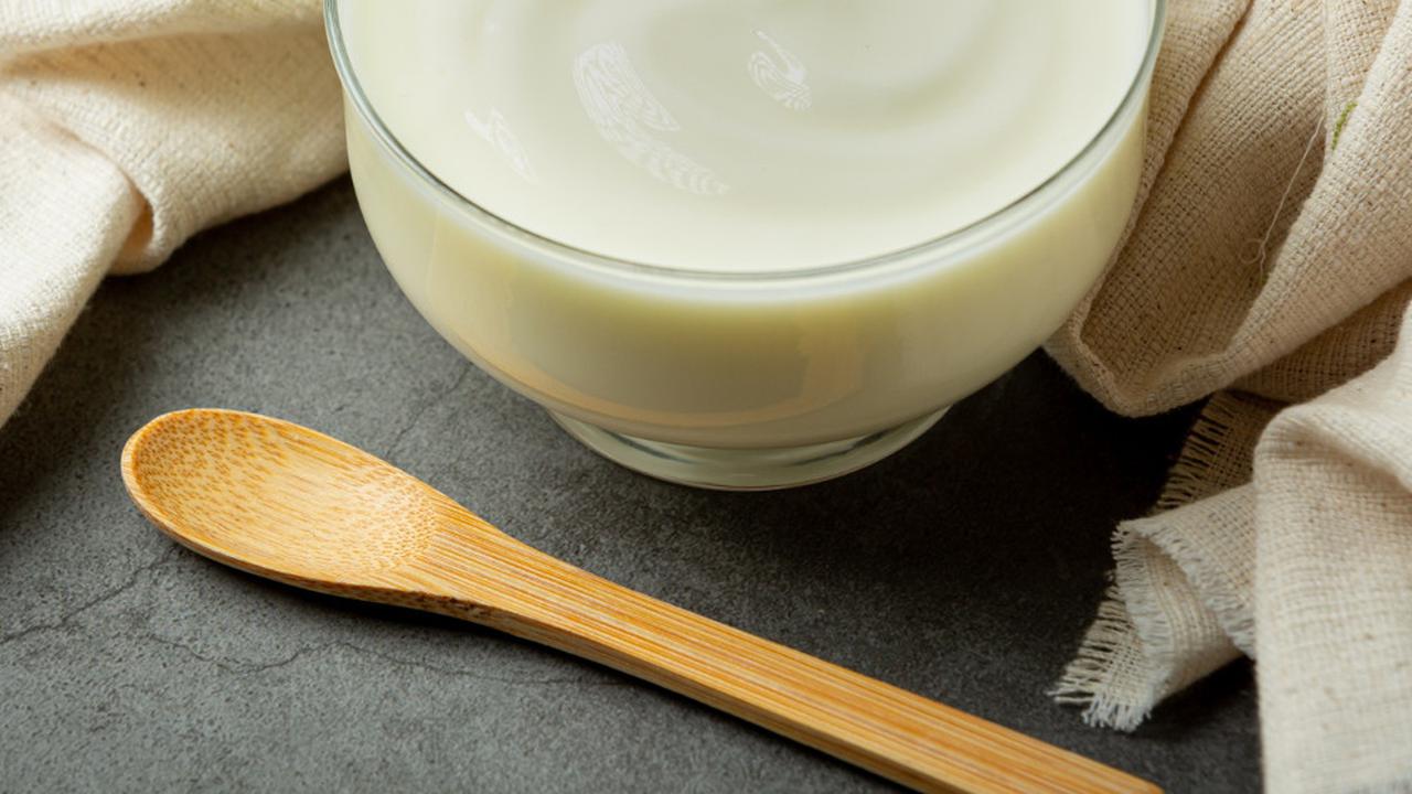 Ilustrasi Greek Yogurt