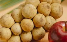6 Khasiat Mengonsumsi Buah Duku Seiap Hari, Membantu Mencegah Penuaan dan Mengurangi Berat Badan