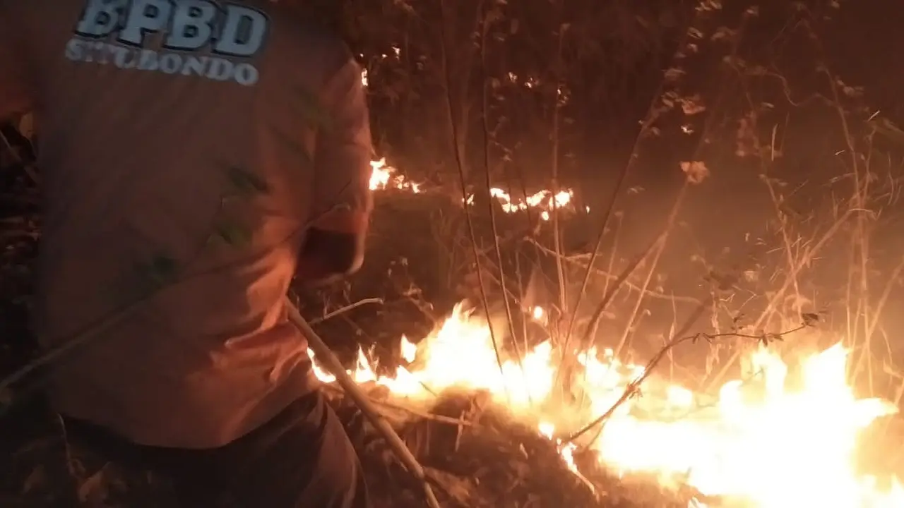 Petuas dari BPBD Situbondo berjibaku pemadaman kebakaran hutan jati di RPH Mlandingan. (Istimewa).