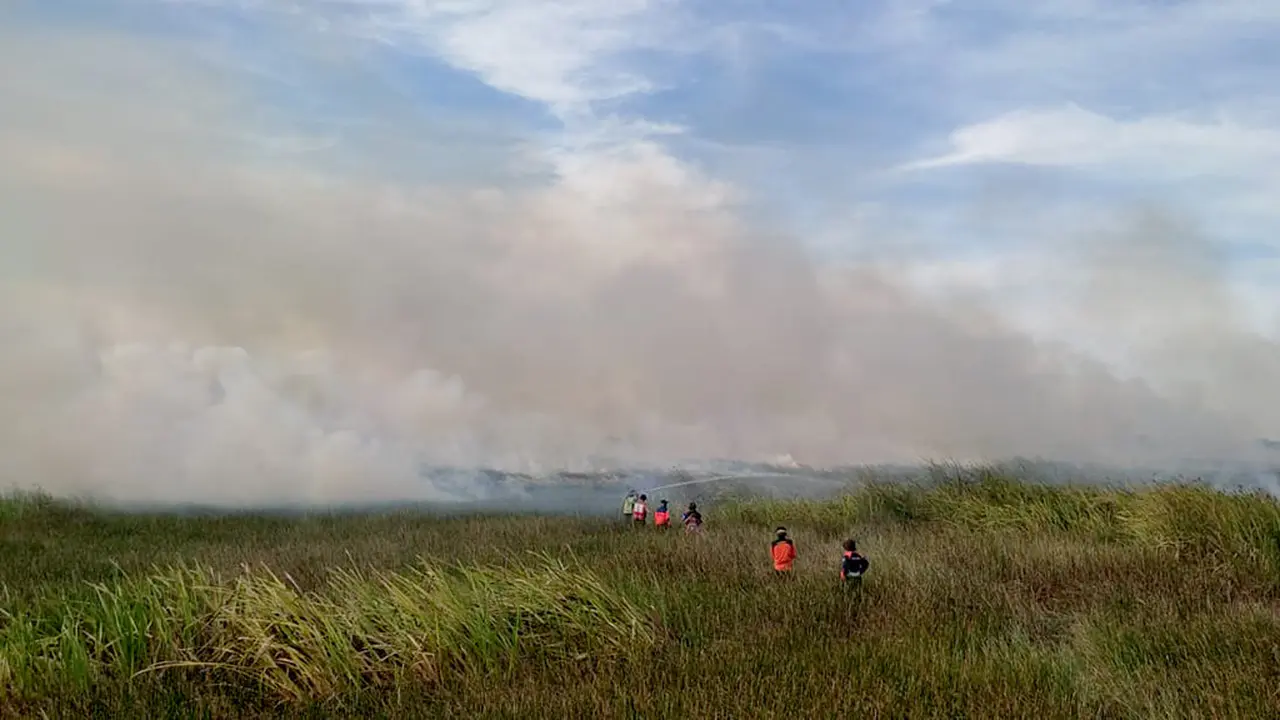 Karhutla Kalimantan Selatan Kalsel Liputan6.com