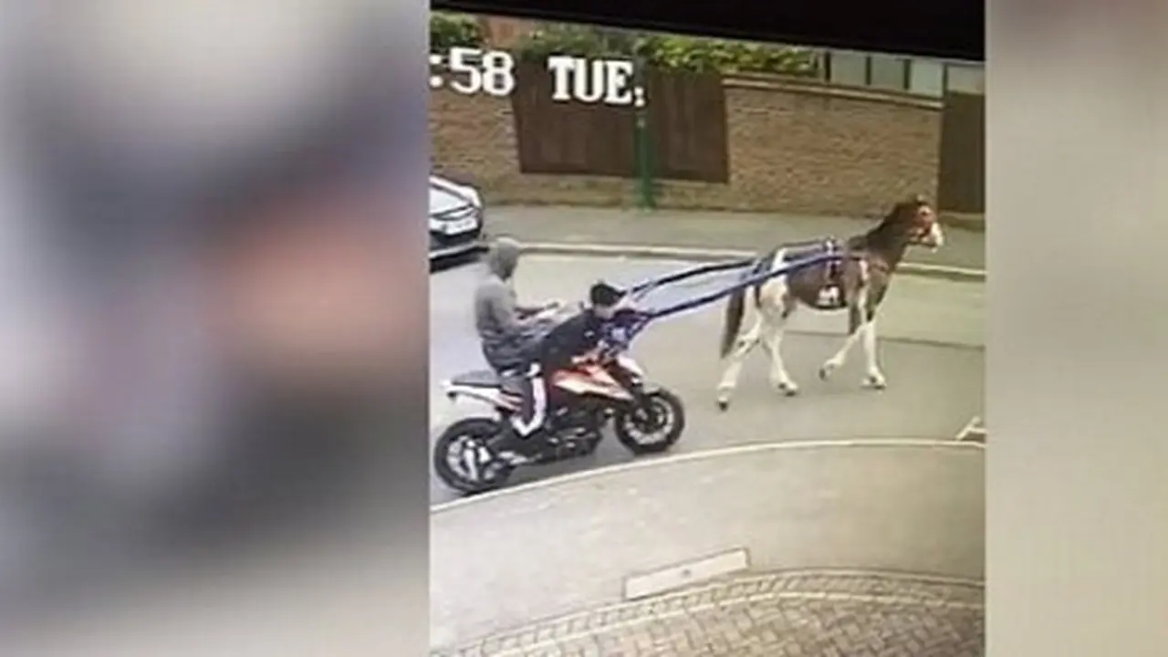 Dua Penjahat Gunakan Kuda untuk Mencuri Motor