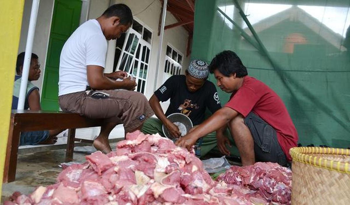 Cara Memilih Sapi Kurban yang Sehat dan Sesuai Syariat