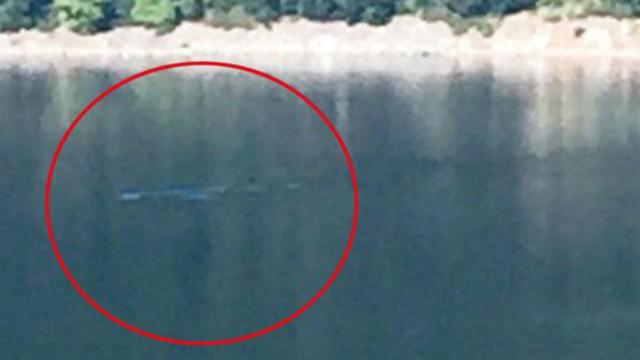 Gelombang Monster Loch Ness Tertangkap Kamera Wisatawan