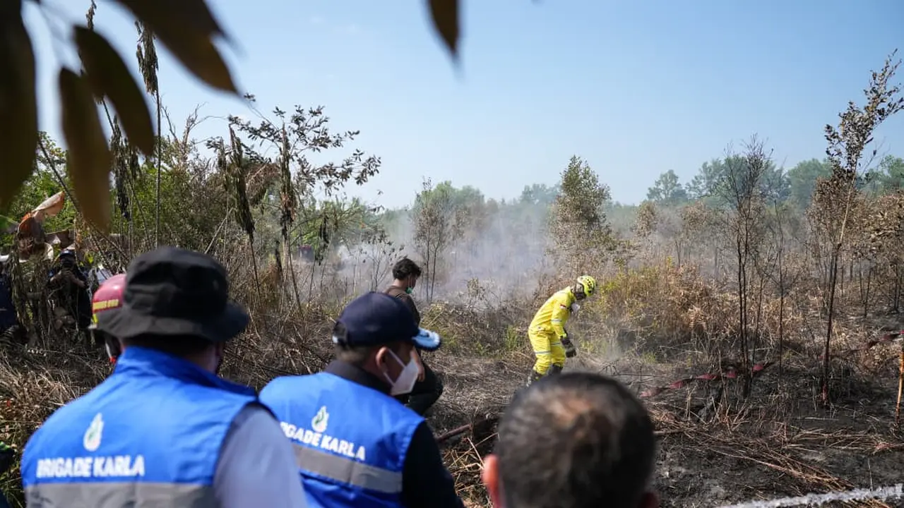 Kebakaran hutan dan lahan (karhutla) (Istimewa)