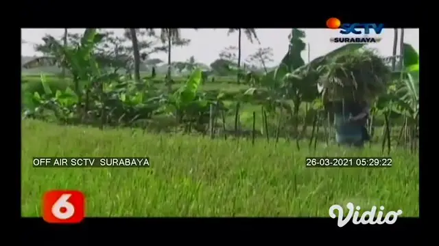 Mantan kepala desa di Lumajang, Jawa Timur, resmi ditahan Kejaksaan Negeri Lumajang, setelah terbukti memindahtangankan hak pengelolaan 6 hektar tanah kas desa kepada orang lain pada tahun 2019.