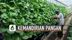 Dampak penyebaran COVID-19 terasa hingga sektor ekonomi, terlebih pangan.