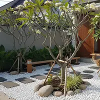 Taman Kering Bergaya Bali. (AI Generated)