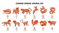What Is My Chinese Zodiac? A Complete Guide to the 12 Signs and 5 Elements