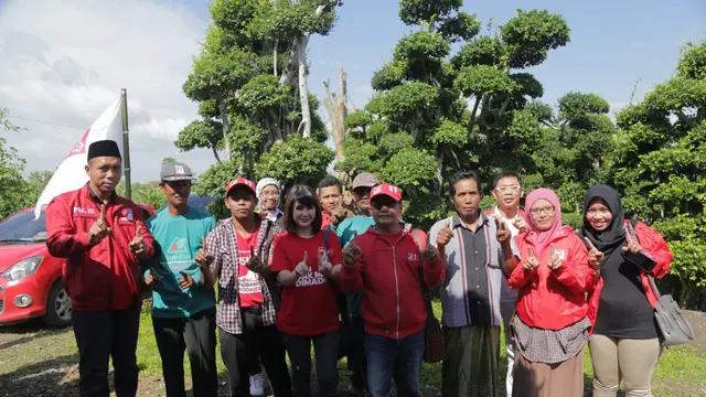 PSI Dukung Budidaya Bonsai Petani Lamongan