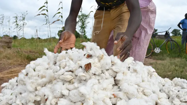 FOTO: Potret Petani Kapas Burkina Faso