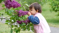  anak-anak biasa mampu memperlihatkan respon terhadap bau dalam 305 milidetik, sedangkan anak-anak autisme tidak menunjukkan respon tersebut. (Foto: gardeningknowhow.com)