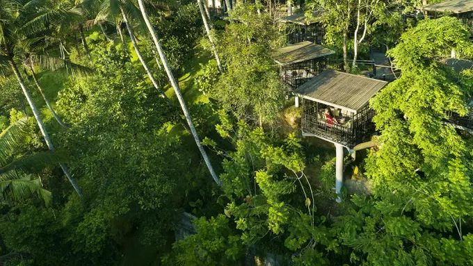 Inspirasi Bulan Madu untuk Pasangan Introvert di Area Ubud Bali