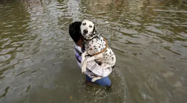 Seorang pria membawa anjing saat banjir di Chennai, di negara bagian selatan Tamil Nadu, India, (3/11/2015). Curah hujan terparah dari satu abad telah menyebabkan banjir besar di seluruh bagian India selatan. (REUTERS/Anindito Mukherjee)