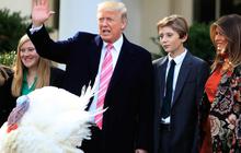 Terpilih Lagi Jadi Presiden Amerika, Donald Trump Dapat Gaji Rp6,2 Miliar Per Tahun