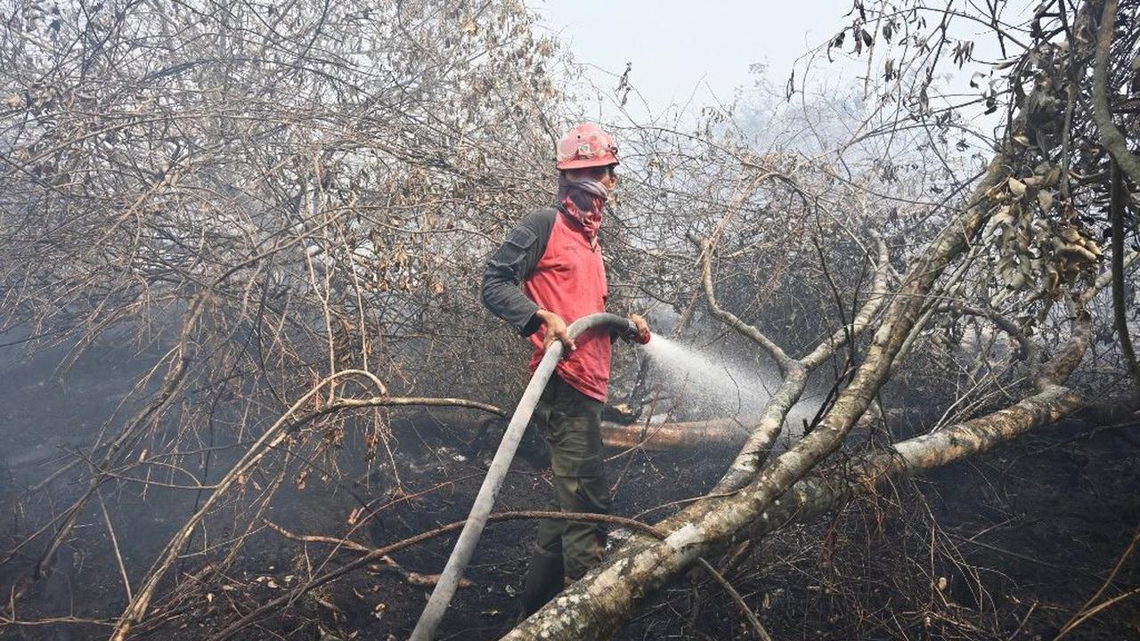 Kabut asap makin menyelimuti Kota Palembang akibat kebakaran hutan dan lahan di Sumatera Selatan.