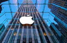 Apple Akhirnya Minta Tolong Google Soal AI