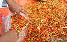 PIHPS Nasional: Harga Cabai Rawit Tembus Rp55.800/kg, Telur Ayam Rp29.650/kg
