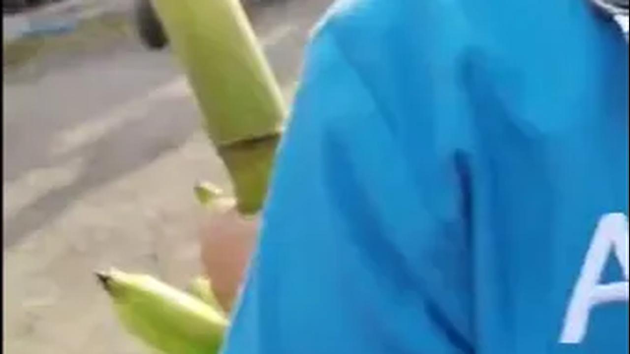 Presiden Salfok Lihat Warga Bawa Pisang