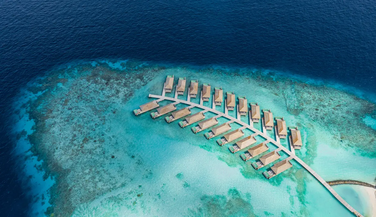 Kamu juga akan belajar tentang nutrisi dan bagaiman ia berpengaruhh pada kesejahteraan dan penerimaan diri. Sehingga kamu bisa menciptakan ketenangan dan kedamaian dalam kehidupan sehari-hari. (Kagi Maldives)