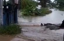 838 Orang Mengungsi Imbas Tanggul Tanggul Sungai Tuntang di Grobogan Jebol
