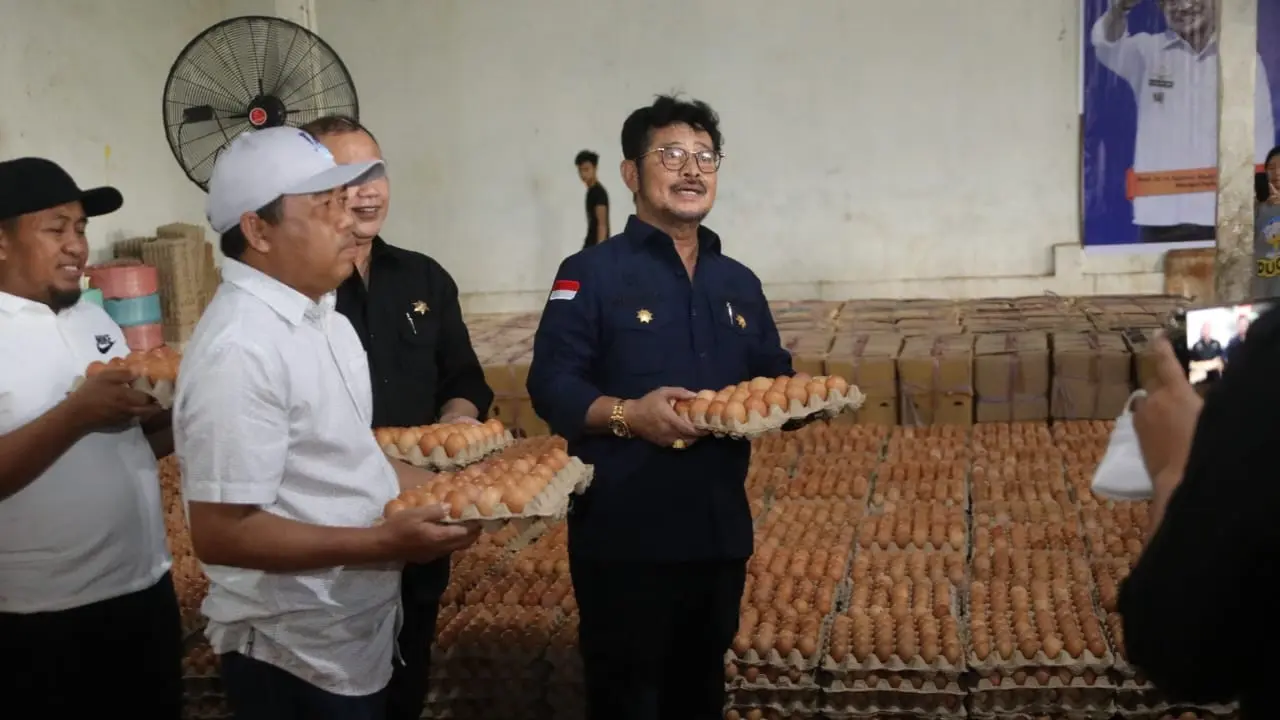 Mentan SYL: Ketersediaan Telur di Sulsel Aman Penuhi Kebutuhan Lebaran