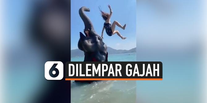VIDEO: Detik-Detik Wanita ini Dilempar ke Laut oleh Gajah