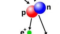 Ilustrasi proses fusi nuklir yang membentuk inti deuterium, yang terdiri dari proton dan neutron, dari dua proton. Positron (e +) - elektron antimateri — dipancarkan bersama dengan elektron neutrino. (Public Domain)