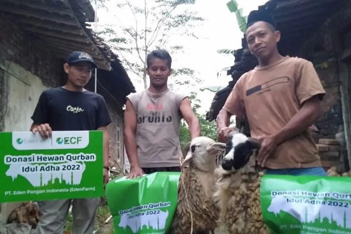 Rayakan Iduladha,  EdenFarm Berbagi Hewan Kurban dengan Komunitas Tani