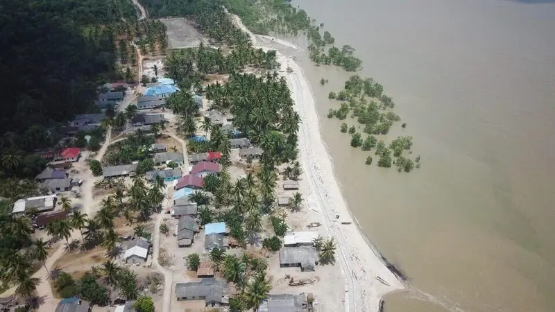 Lima Ratus Meter Tanggul Muka Limus Terbentang Lindungi Pemukiman Nelayan dari Abrasi Pantai