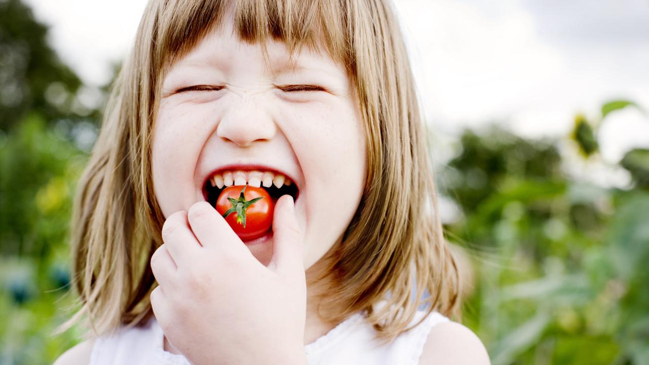 Begini Caranya Agar Anak Senang Makan Sayur