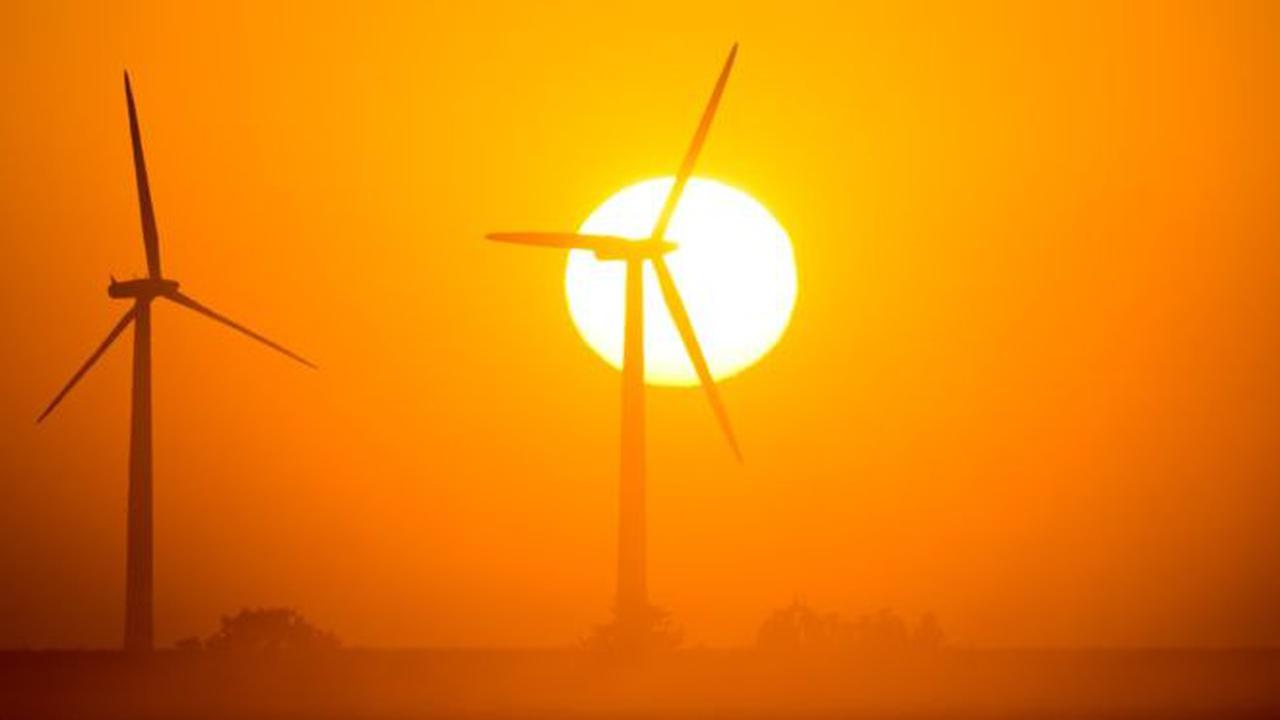 Ilmuwan AS: Juli Tercatat Bulan Terpanas di Bumi