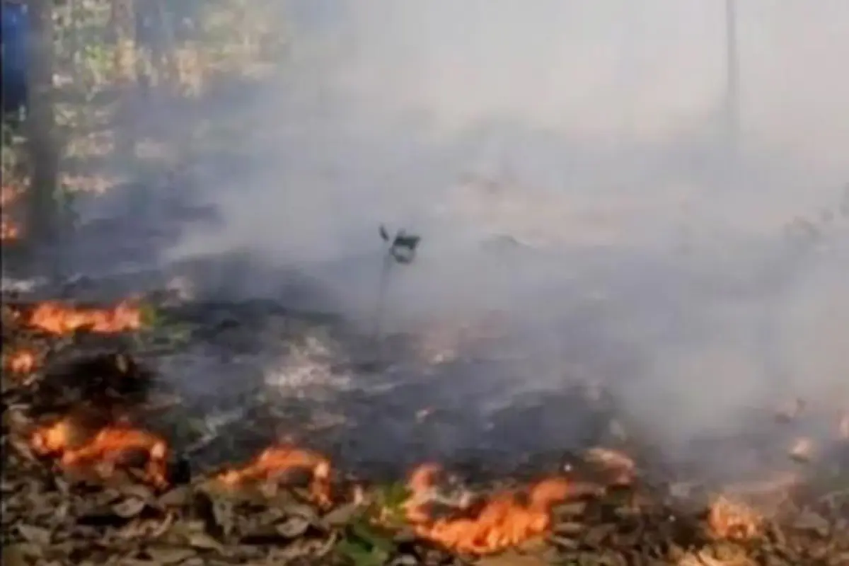 Tim Satgas Karhutla: Kebakaran Hutan dan Lahan di Riau Disengaja