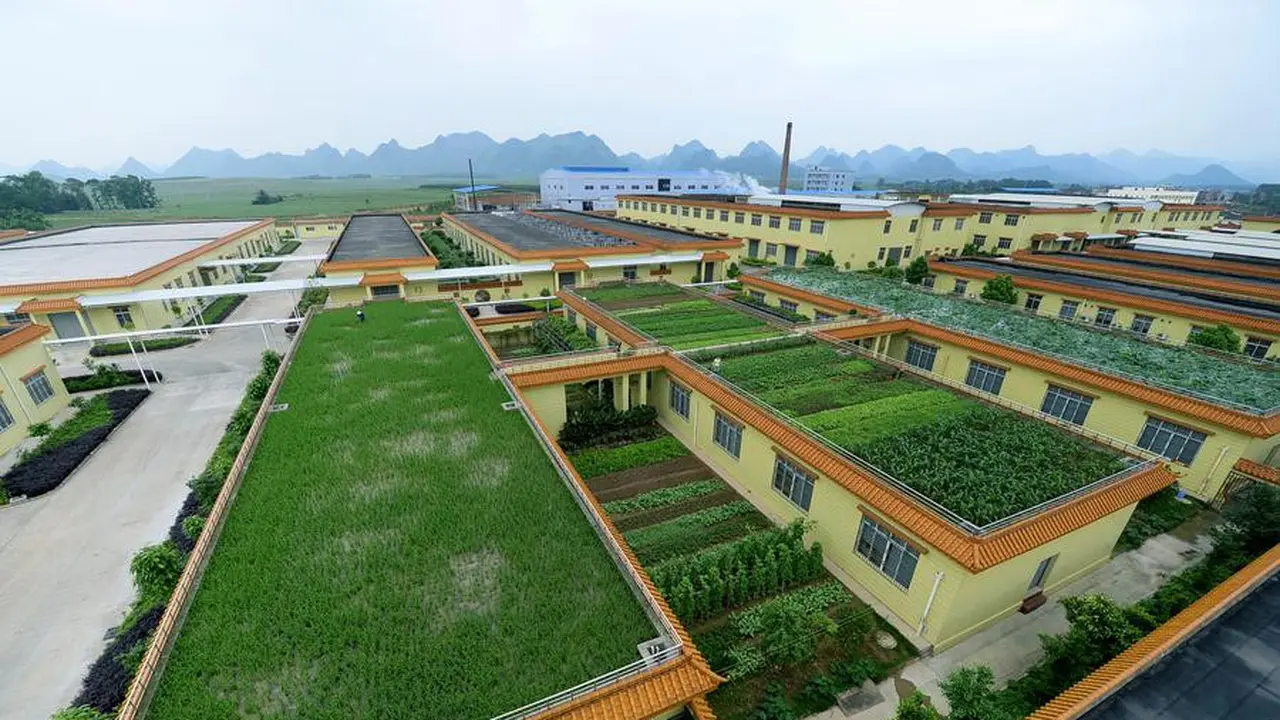 Keren, Atap Gedung Bisa Jadi Tempat Menanam Sayuran