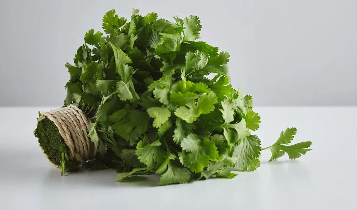5. Memperkuat Tulang dengan Vitamin K