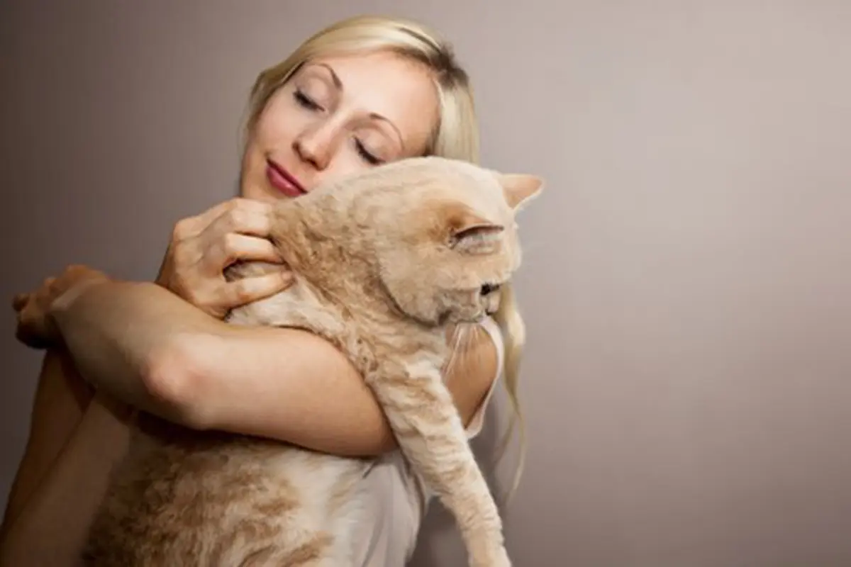 Foto: copyright Thinkstockphotos.com