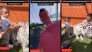 <p>Dalam video singkat tersebut, tampak Cipung dengan santai mengelus-elus binatang buas tersebut. Sedangkan Raffi yang juga didalam kandang mengabadikan momen tersebut. [TikTok/ipungg._]</p>