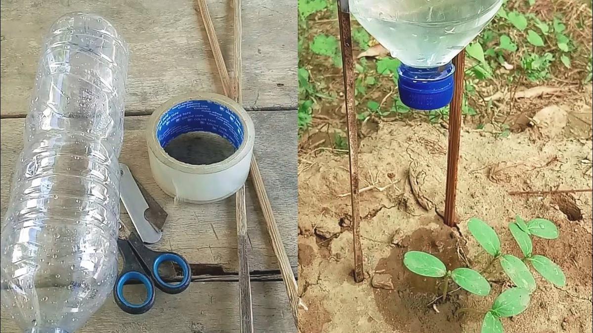 Cara Membuat Drip Irrigation Sederhana untuk Kebun Sayur, Cukup Modal 3 Bahan