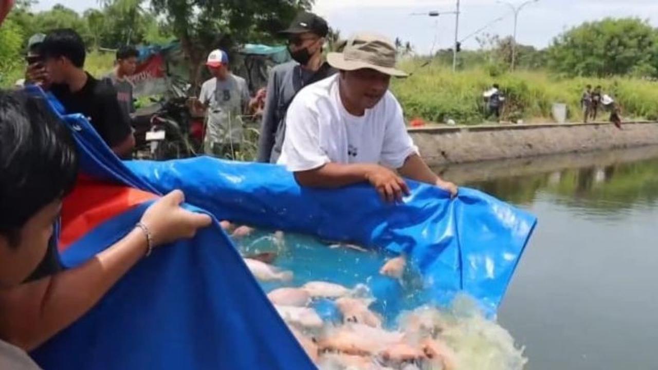 Polres Serang Tebar Ribuan Nila Merah di Danau Puspemkab, Perkuat Ketahanan Pangan Lokal