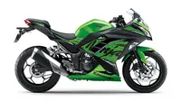 Kawasaki Ninja 300 (Motorbeam)