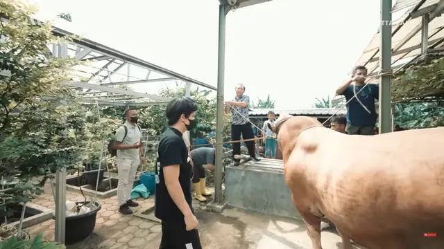 Atta Halilintar Cari Hewan Kurban