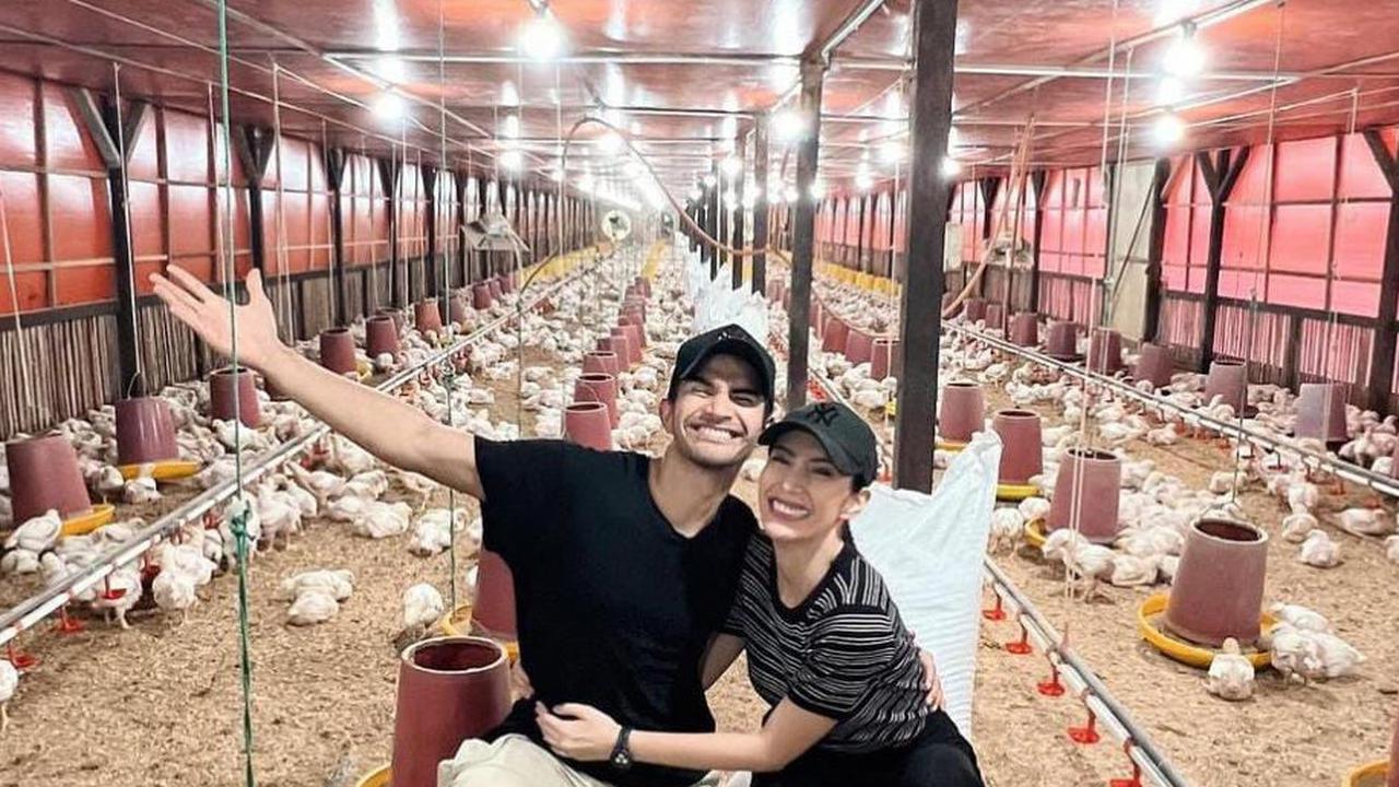 Potret Peternakan Ayam Tengku Tezi di Kampung, Tyas Mirasih Beri Dukungan Penuh 'Gue Tahu Ini Passion Dia'