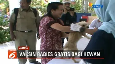 Pemprov DKI Jakarta memberikan vaksin gratis bagi hewan penular rabies. Kegiatan tersebut digelar serentak di lima kota wilayah ibu kota, termasuk Jakarta Utara.