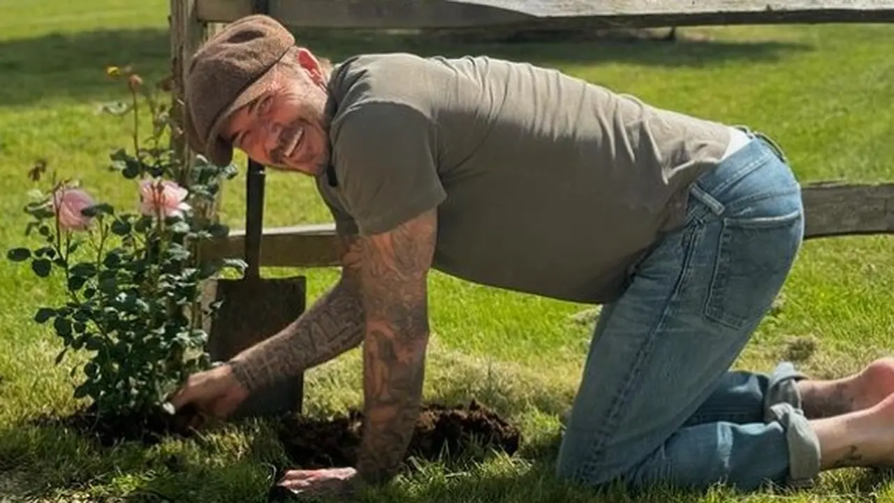 David Beckham berkebun dan beternak (Instagram/davidbeckham)