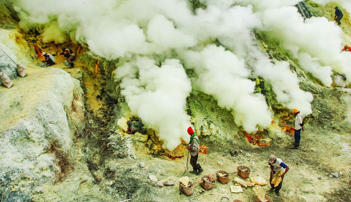 Di balik hijaunya pegunungan Jawa Timur, Kawah Ijen juga menyimpan fenomena geologi yang luar biasa. Gunung Ijen terbentuk dari serangkaian letusan besar sekitar 3.500 tahun lalu. Berdasarkan data Kementerian Energi dan Sumber Daya Mineral, letusan tersebut menciptakan kaldera raksasa dengan diameter mencapai sekitar 25 kilometer. Di dalam kaldera inilah terbentuk danau kawah yang kini menjadi pusat aktivitas vulkanik Gunung Ijen. Tampak dalam foto, aktivitas penambang tradisional menambang bongkahan belerang dari dasar kawah Ijen di Banyuwangi, Jawa Timur. (merdeka.com/Arie Basuki)